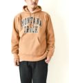 Champion｜HOODED SWEATSHIRT [[C3-A124]][D]