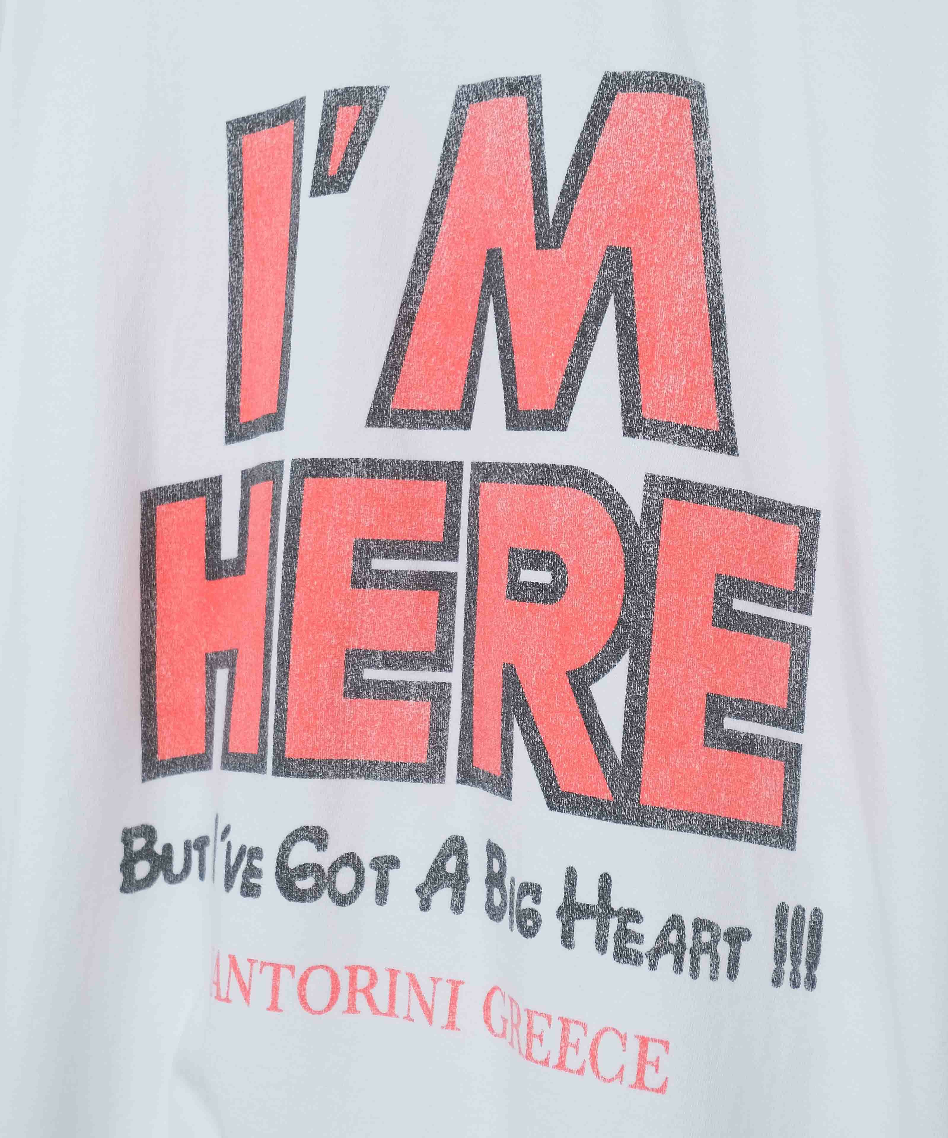 SCREEN STARS｜5.6oz Garment Wash Tee（I'M HERE） [[2522-SSBTBL-A]][D]