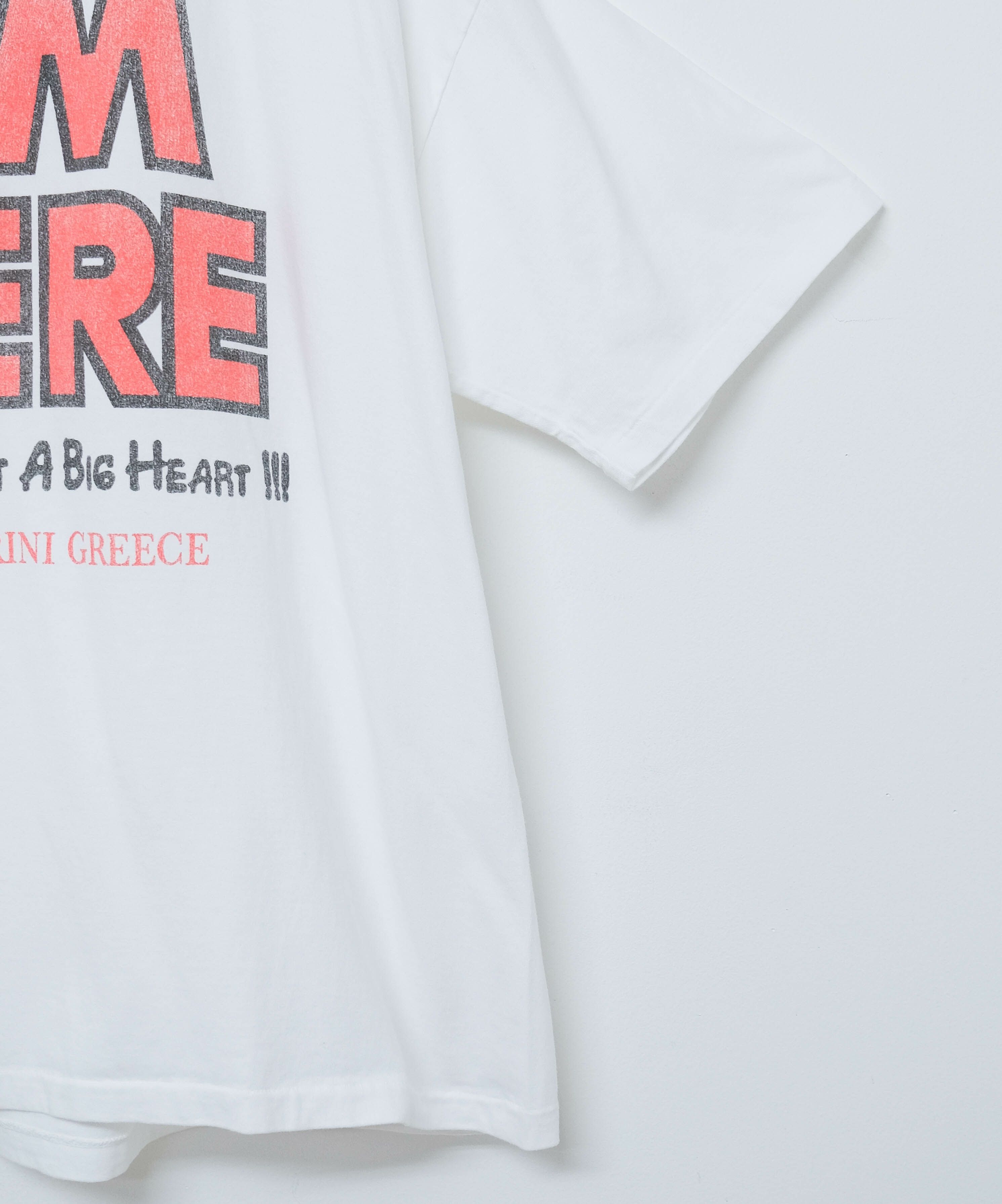 SCREEN STARS｜5.6oz Garment Wash Tee（I'M HERE） [[2522-SSBTBL-A]][D]