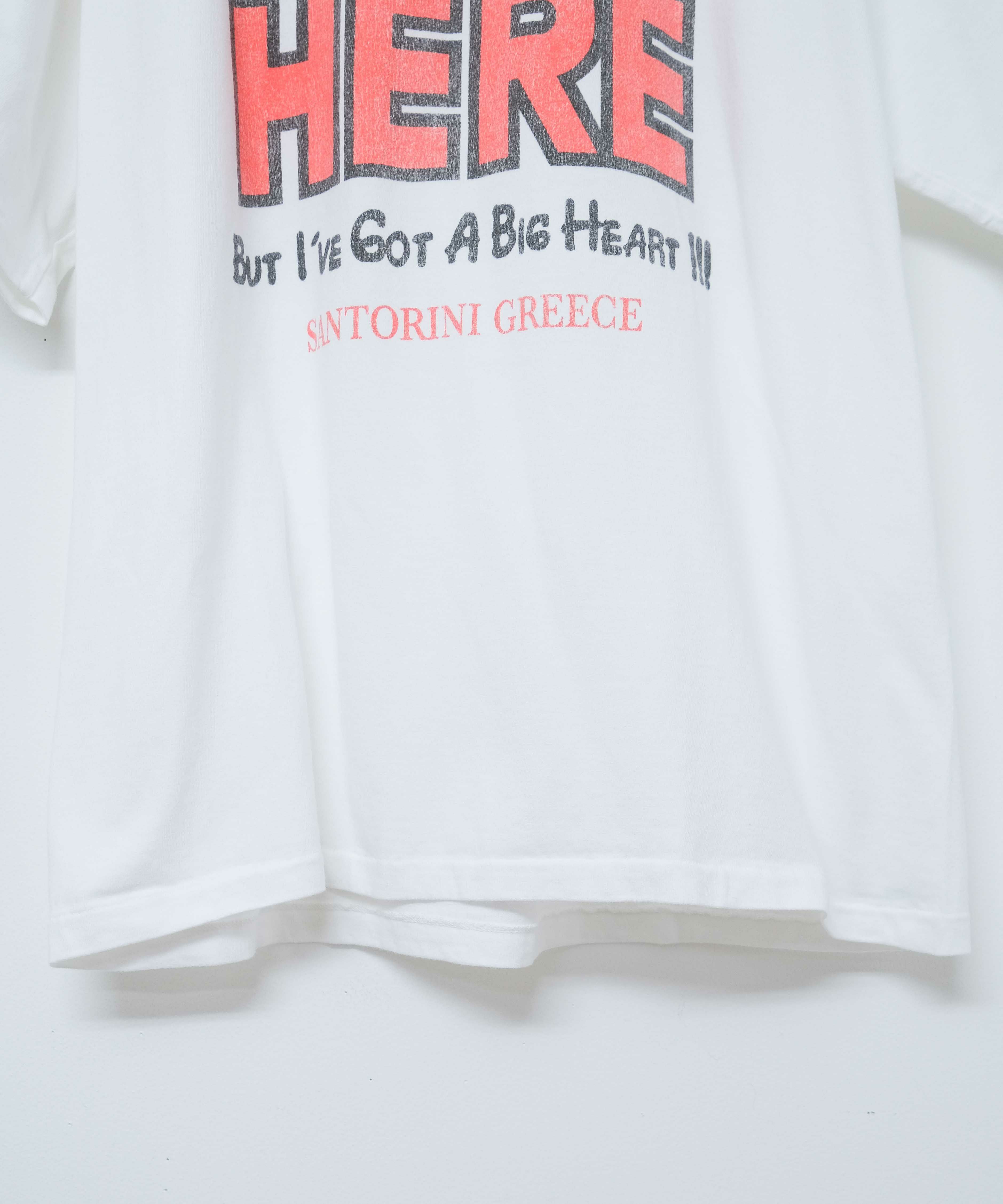 SCREEN STARS｜5.6oz Garment Wash Tee（I'M HERE） [[2522-SSBTBL-A]][D]