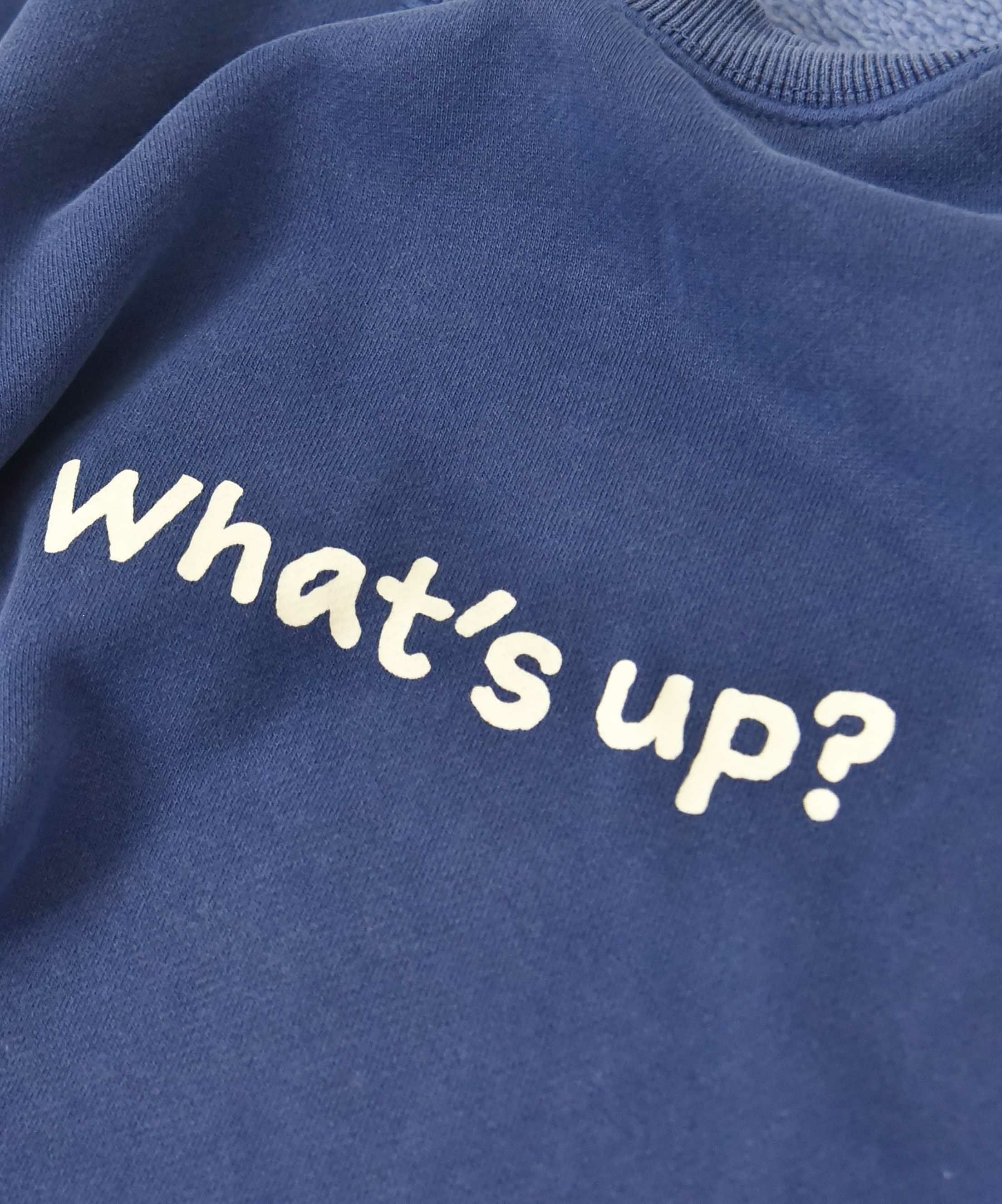 duckster｜リバーシブルクルーネックスウェット(DUCK‘S GYM) [[940204]][D]