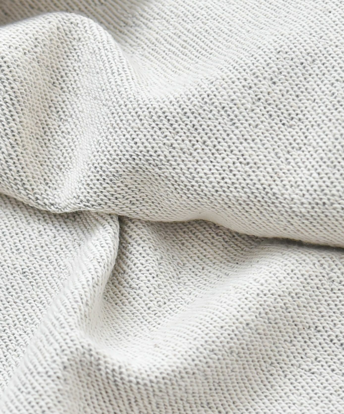 ジムマスター｜10.3oz HITCH HIKE スウェットビッグTee [[G621781]][D]