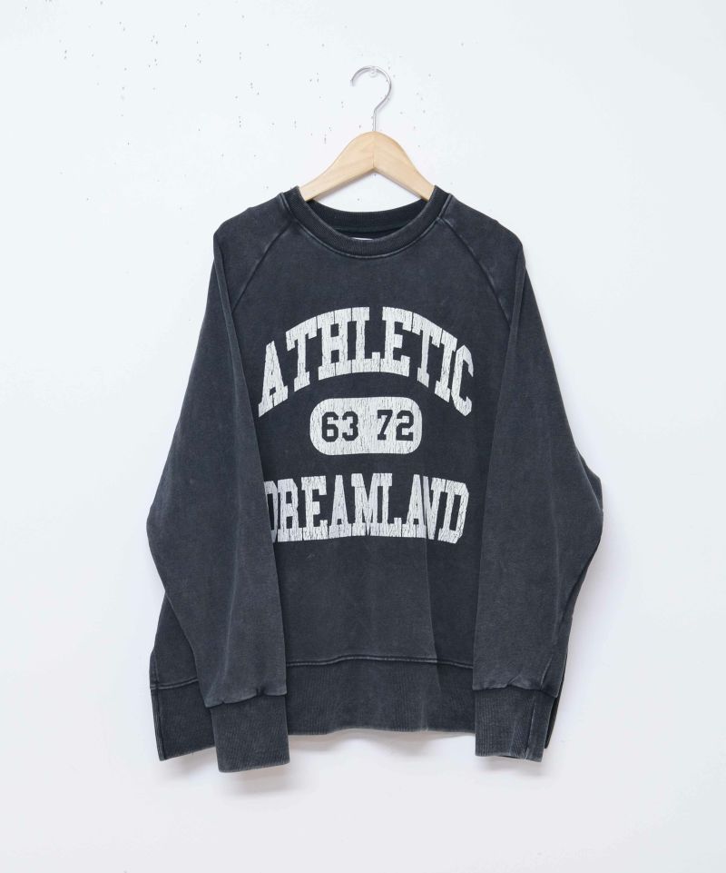 day standard｜ピグメントクループルオーバー [[d-c-008]][D]