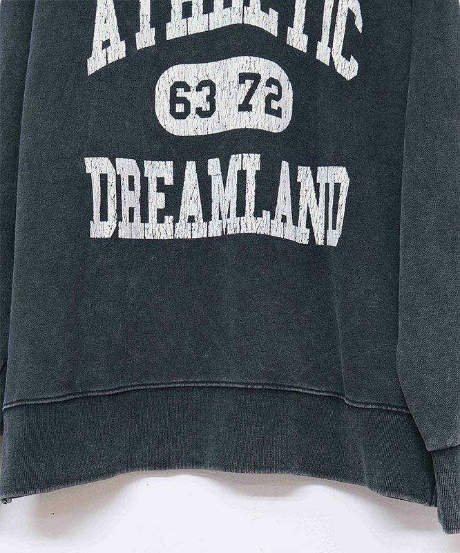 day standard｜ピグメントクループルオーバー [[d-c-008]][D]