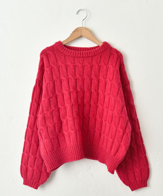  ichi｜ケーブルニットプルオーバー [[250756]][C]